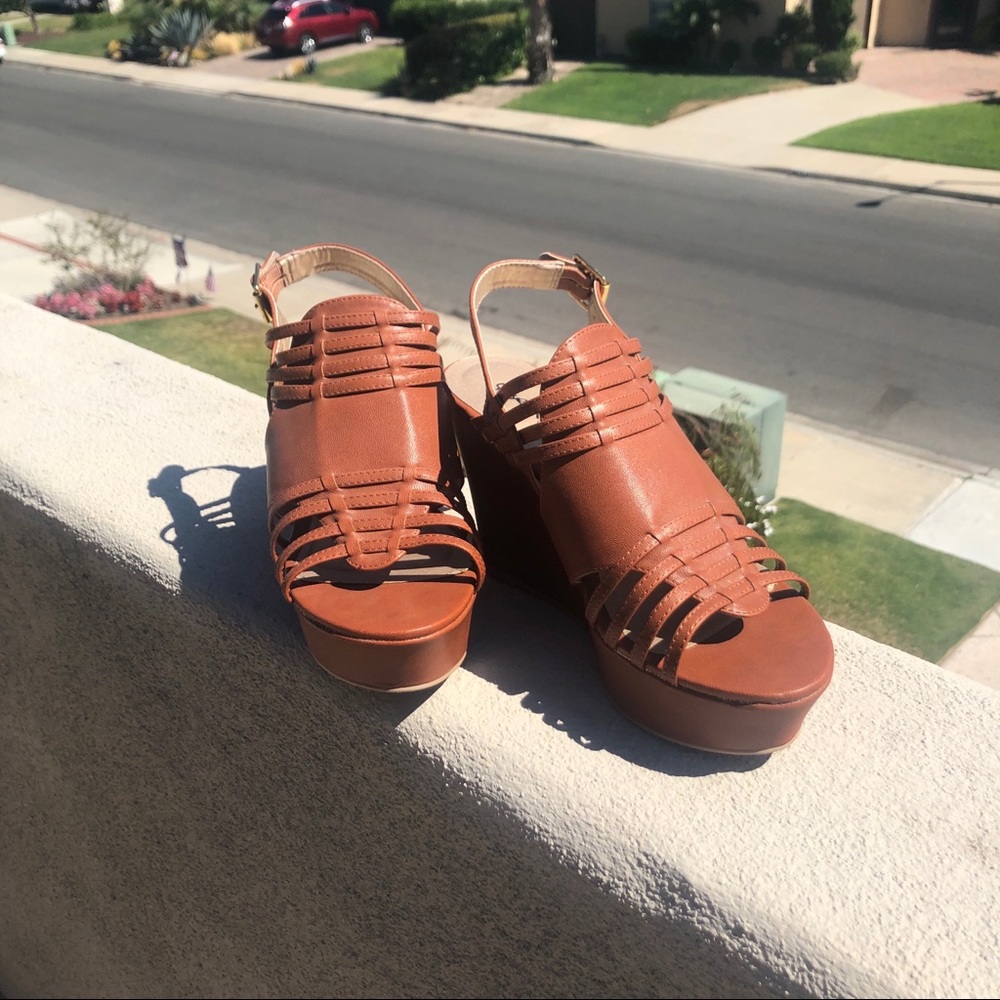 Quipid wedges